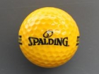 spalding-gelbi1_1c460_jpg_225_169