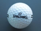 spalding-weissi1_1c450_jpg_225_169